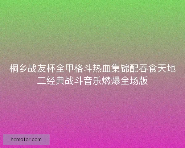 桐乡战友杯全甲格斗热血集锦配吞食天地二经典战斗音乐燃爆全场版